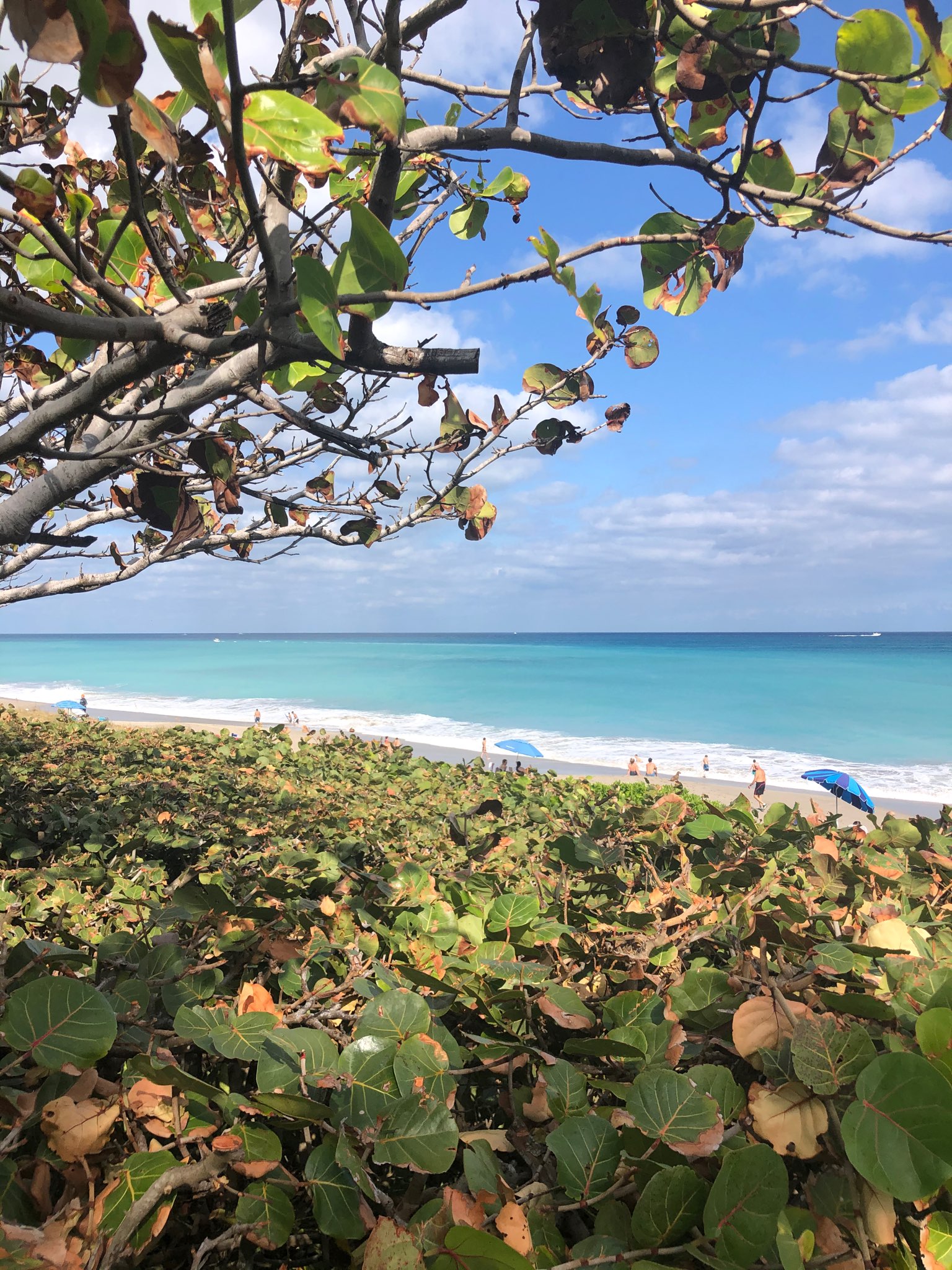 JUNO BEACH home care