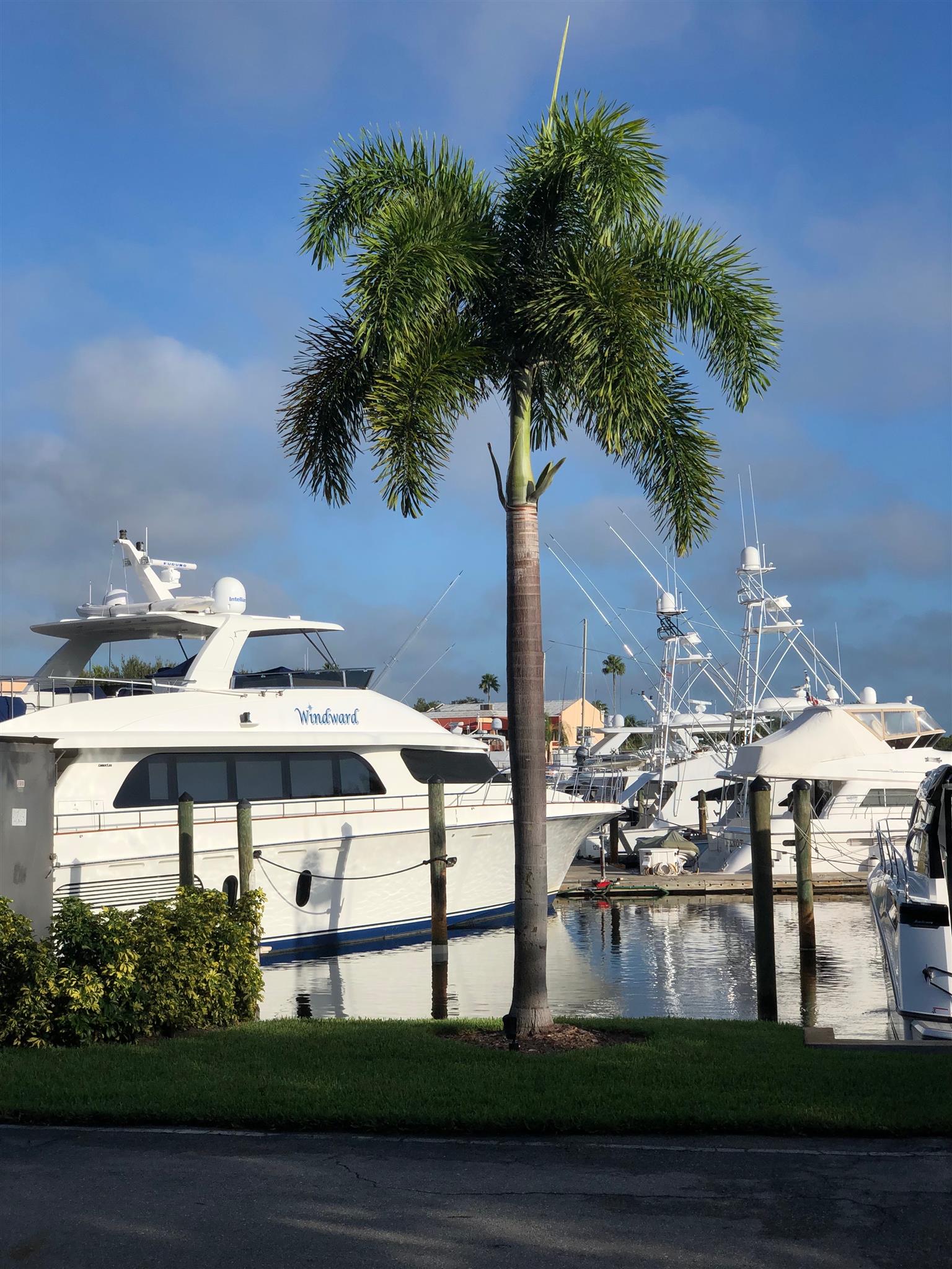 Singer Island Home care