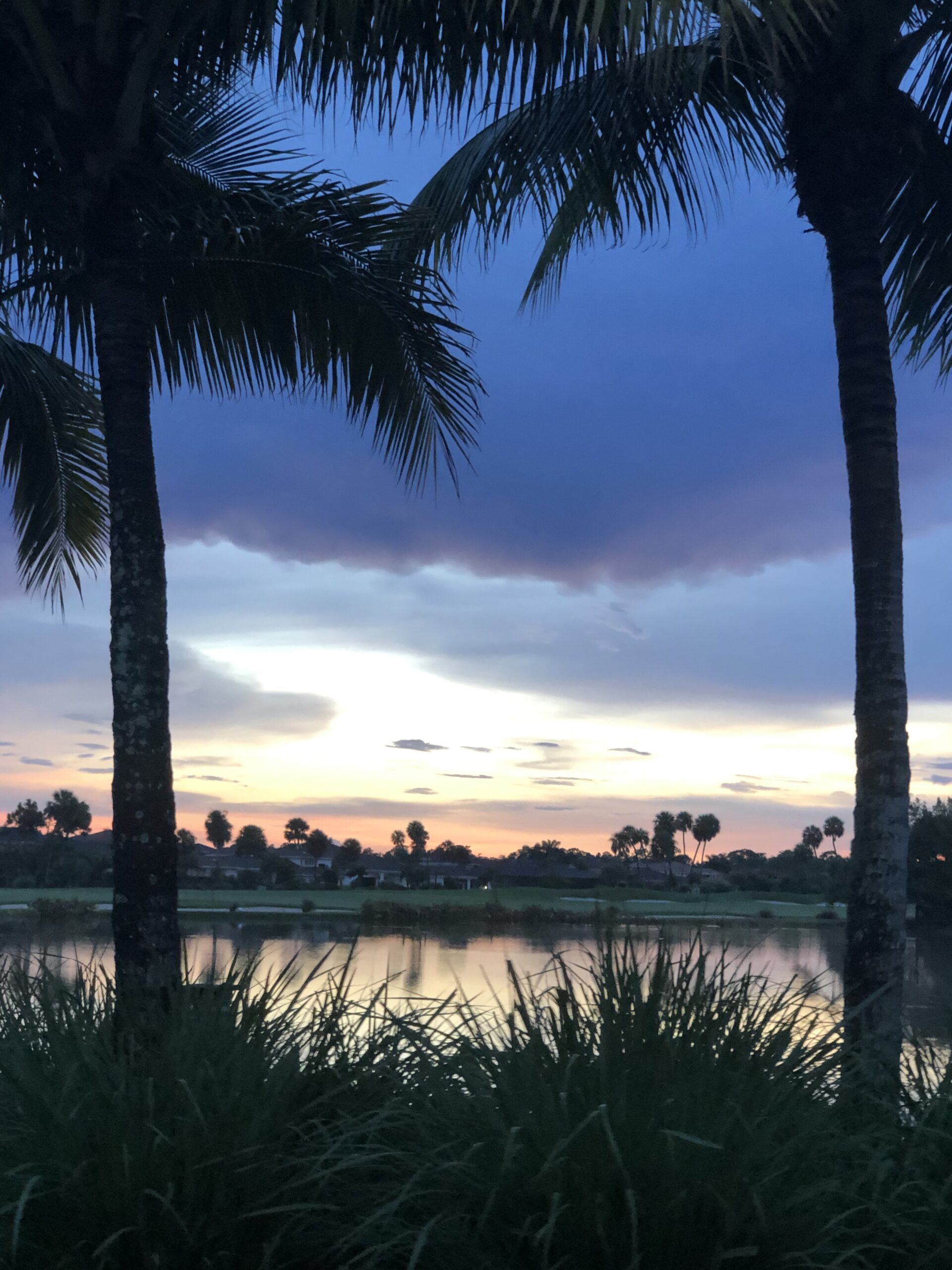 Senior Transportation in Singer Island